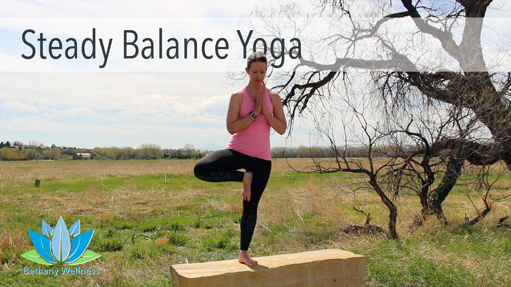 Steady Balance Yoga